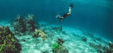 男性が亀と泳いでる